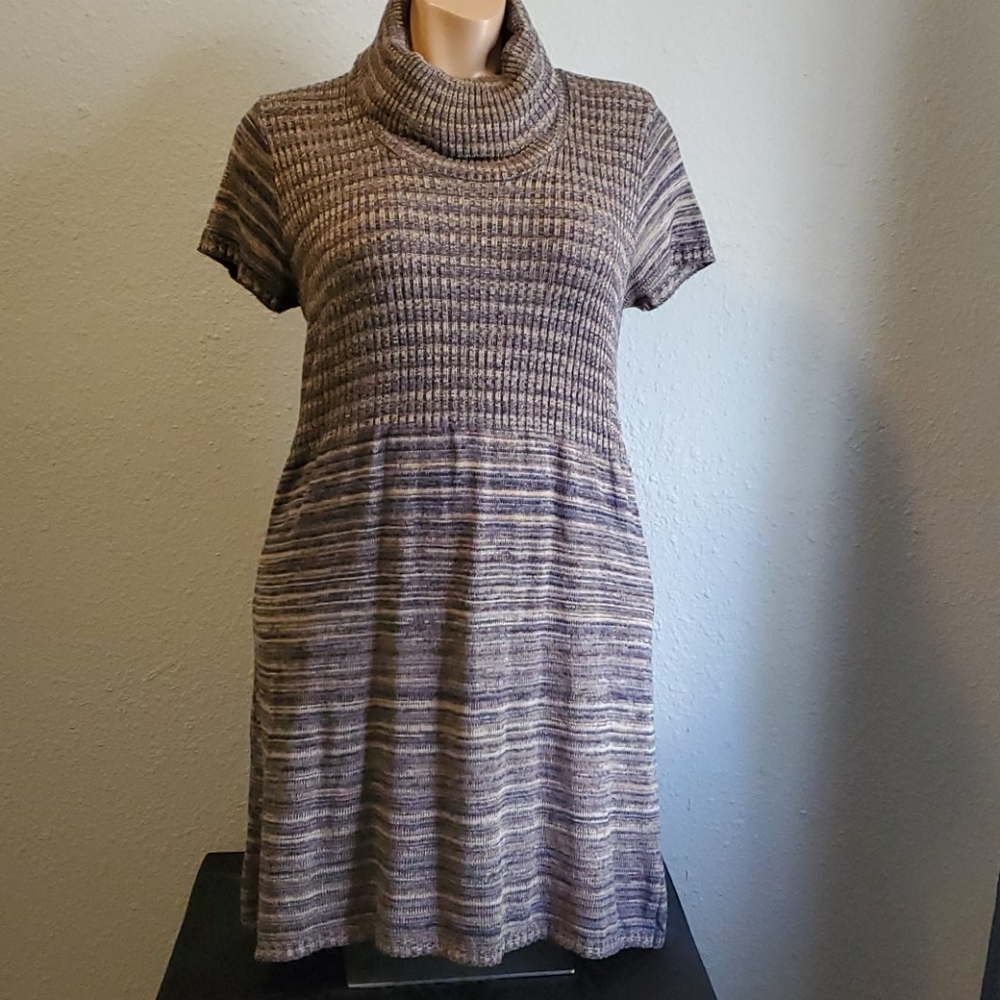 Comfy sweater dress with turtle neck.